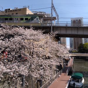 桜と五反田駅